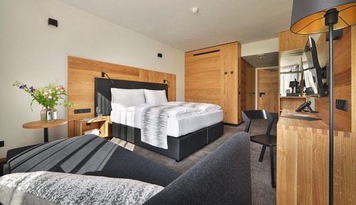 Superior Double or Twin Room