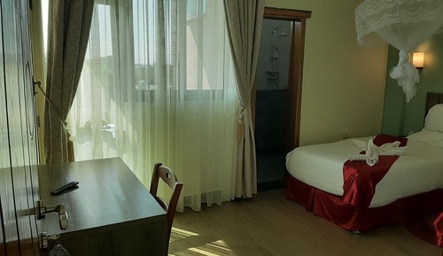 Superior Twin Room, City View