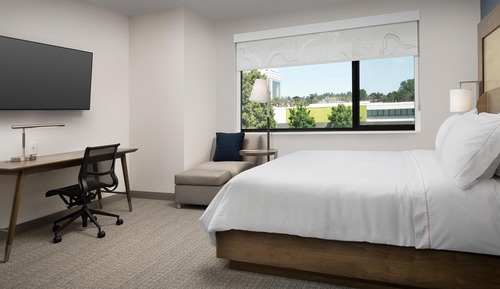 Studio, 1 King Bed with Sofa bed, Non Smoking (Mobility Accessible, Transfer Shower)