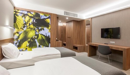 Deluxe Double or Twin Room