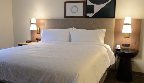 Suite, 1 Bedroom, Kitchen (Walk In Shower)