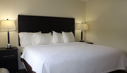Deluxe Studio Suite