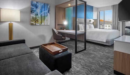 Suite, 1 King Bed