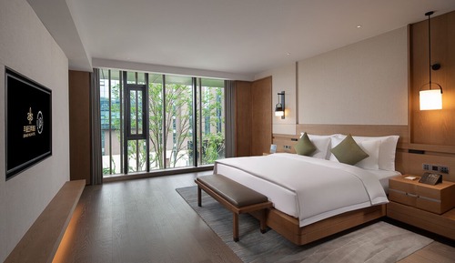 Park Suite with 1 King Bed