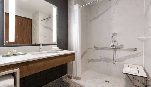 Room, 1 King Bed, Mobility Accessible, Non Smoking (Roll-In Shower)