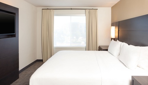 Suite, 1 King Bed with Sofa bed