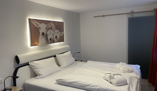 Comfort Double Room