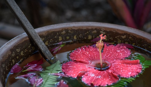 High Stilt House Sea