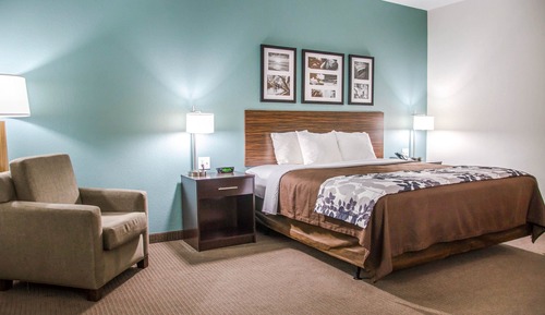 Suite, 1 King Bed with Sofa bed, Non Smoking, Kitchenette