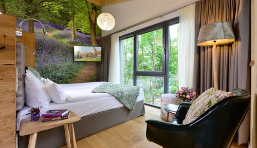 Baum Chalet, 1 Queen Bed, Garden View