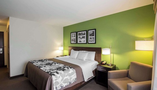 Room, 1 King Bed, Accessible, Non Smoking