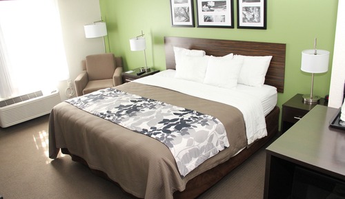 Standard Room, 1 King Bed