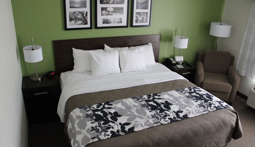 Standard Room, 1 King Bed, Non Smoking