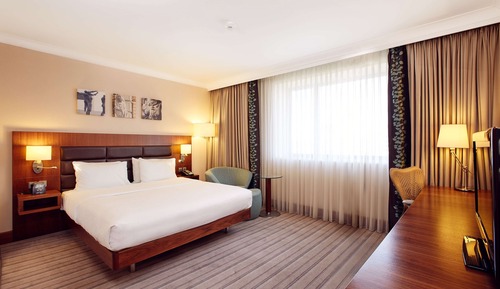 Room, 1 King Bed