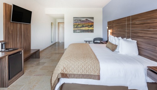 Executive Room, 1 King Bed