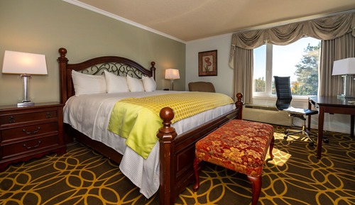 Deluxe Room, 1 King Bed Non Smoking