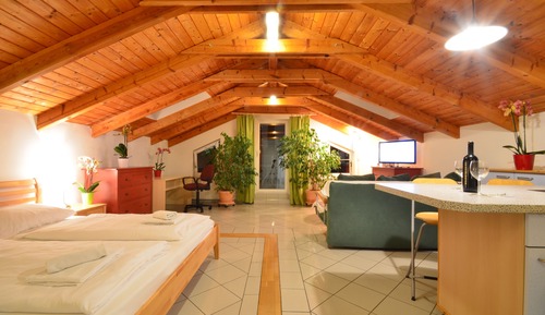 Deluxe Studio Suite, Terrace, Garden View (50€ cleaning fee on top of the rate)