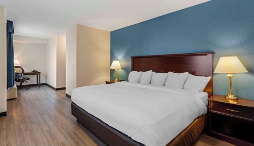 Room, 1 King Bed, Non Smoking