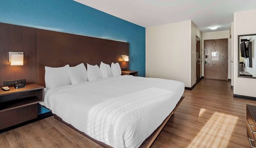 Room, 1 King Bed, Non Smoking