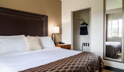 Superior Suite, 1 King Bed, Mountain View (Mountain View Junior King Suite)