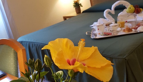 Double Room Single Use