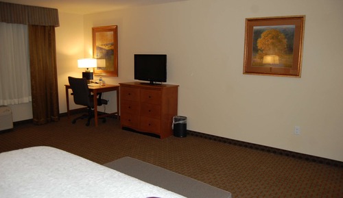 Room, 1 King Bed, Non Smoking