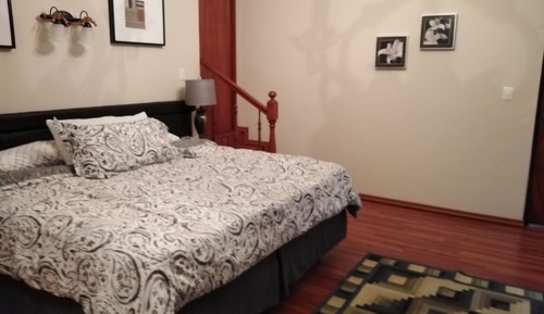Junior Studio Suite