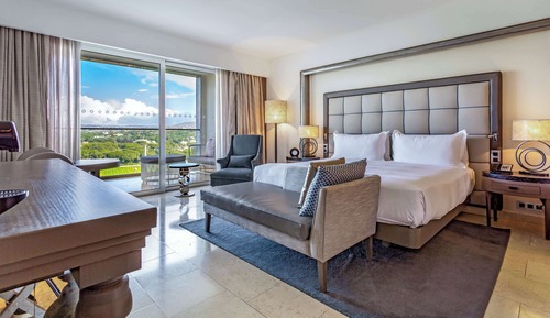 Deluxe Room, 1 King Bed (Plus)
