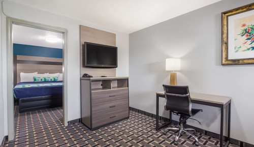 Suite, 1 King Bed