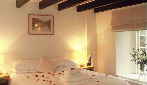 One-Bedroom Queen Suite 