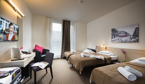 Standard Triple Room (1 double bed + 1 rollaway bed)