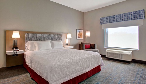 Room, 1 King Bed, Accessible (Roll-In Shower, Mobility & Hearing)