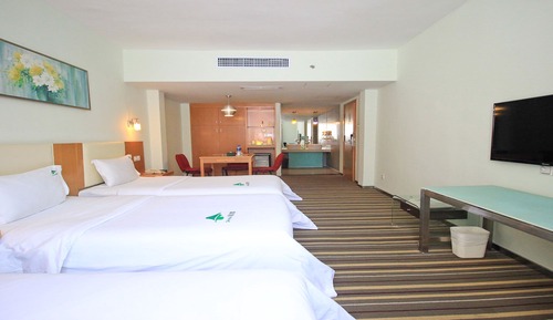 Deluxe Family Room