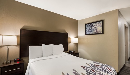 Deluxe Room, 1 Queen Bed, Accessible (Roll In Shower, Smoke Free)