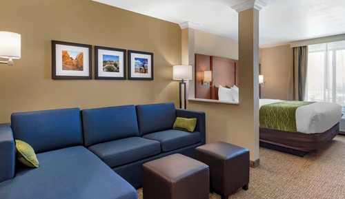 Suite, 1 King Bed with Sofa bed, Accessible, Non Smoking