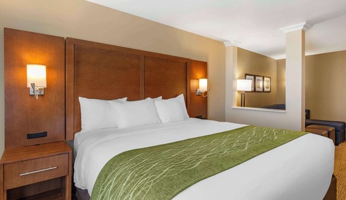 Suite, 1 King Bed, Non Smoking (Efficiency)