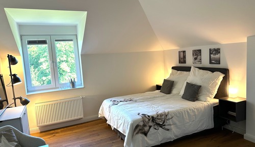 Classic Room, 1 Queen Bed (Incl. 65 EUR Cleaning Fee)