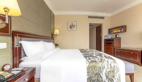 Superior Single Room