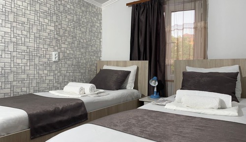 Basic Twin Room