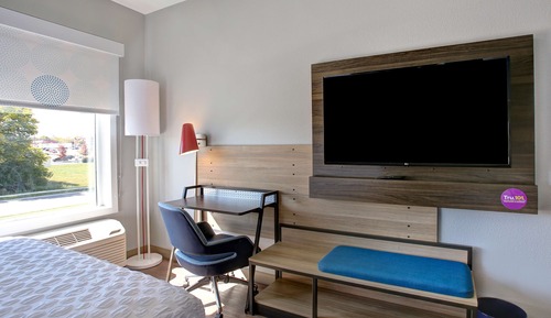 Room, 1 King Bed