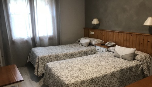 Basic Twin Room