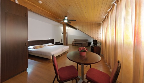Classic Double Room Single Use, 1 Twin Bed, Non Smoking