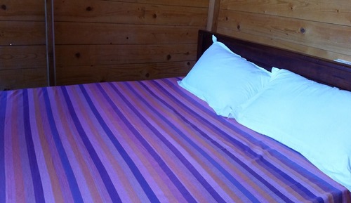 Deluxe Room with Air condition and Private Bathroom