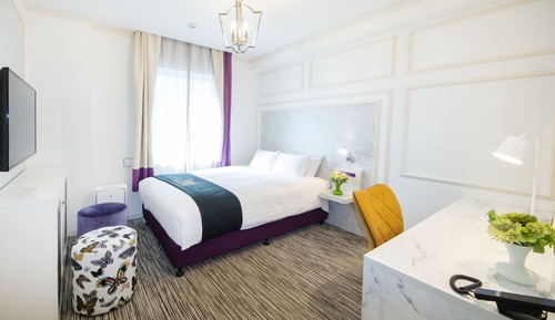 Deluxe Single Room (for single use)