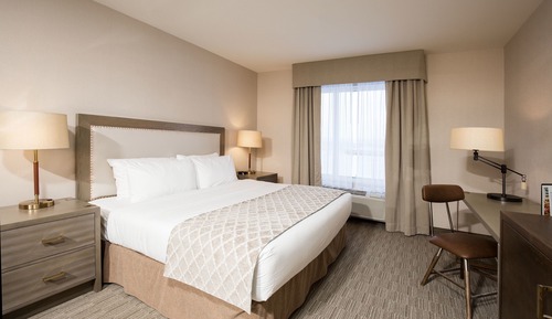 Comfort Room, 1 Queen Bed, Accessible