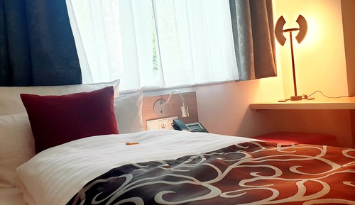 Comfort Single Room, 1 Twin Bed
