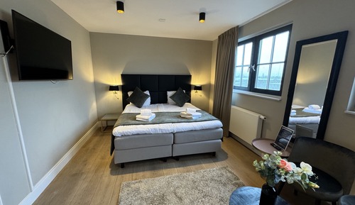 Studio, 1 King Bed with Sofa bed, Kitchenette, Lake View