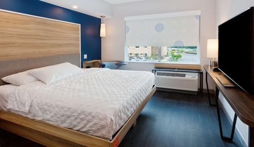 Room, 1 King Bed