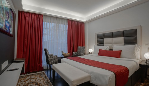 Deluxe Room, 1 Double Bed (Super)