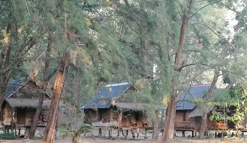 Standard Bungalow